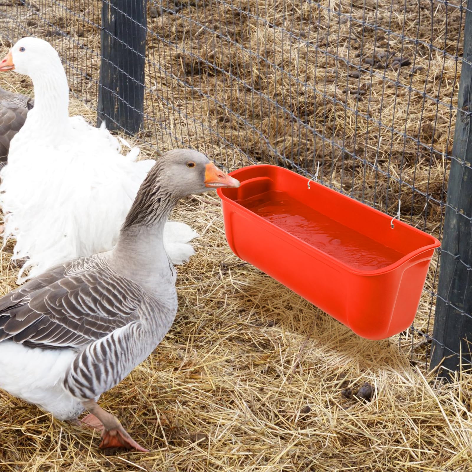 Cedilis Paquete de 4 comederos colgantes para patos, comedero de valla de pollo con clips, contenedor de alimentación de agua para aves de corral, ganso, conejos, ovejas, cada alimentador de 2.5
