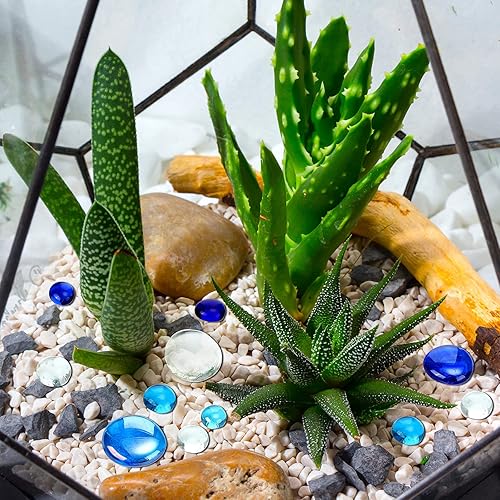 Vista 6 de Honeydak 300 unidades de canicas de vidrio plano para jarrones, guijarros de vidrio, piedras florales para pecera, para jarrones, mesa, dispersos