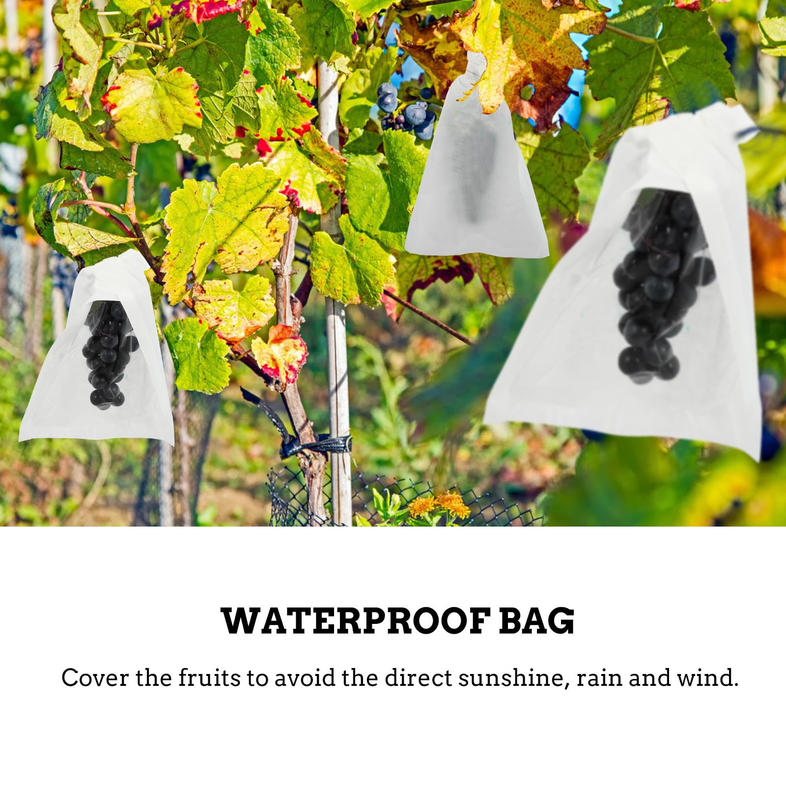 YARNOW 100 Stück Transparente Schutzbeutel für Weintrauben aus Papier zur Reife und Farbgebung mit Kreativem Design für Garten und Obstpflanzen