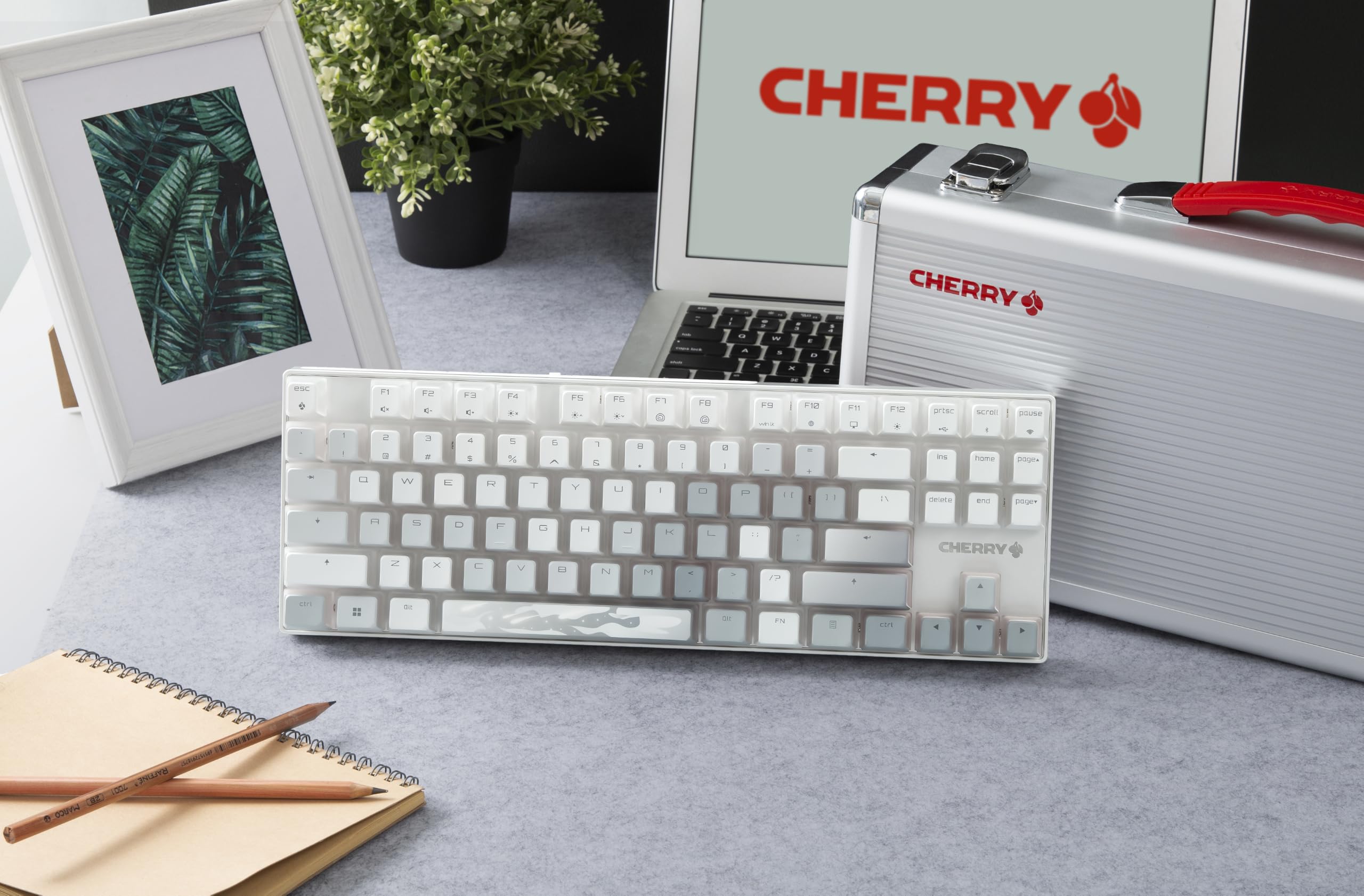 Amazon.com: Cherry MX 8.2 TKL Wireless XAGA, Tenkeyless Mechanical
