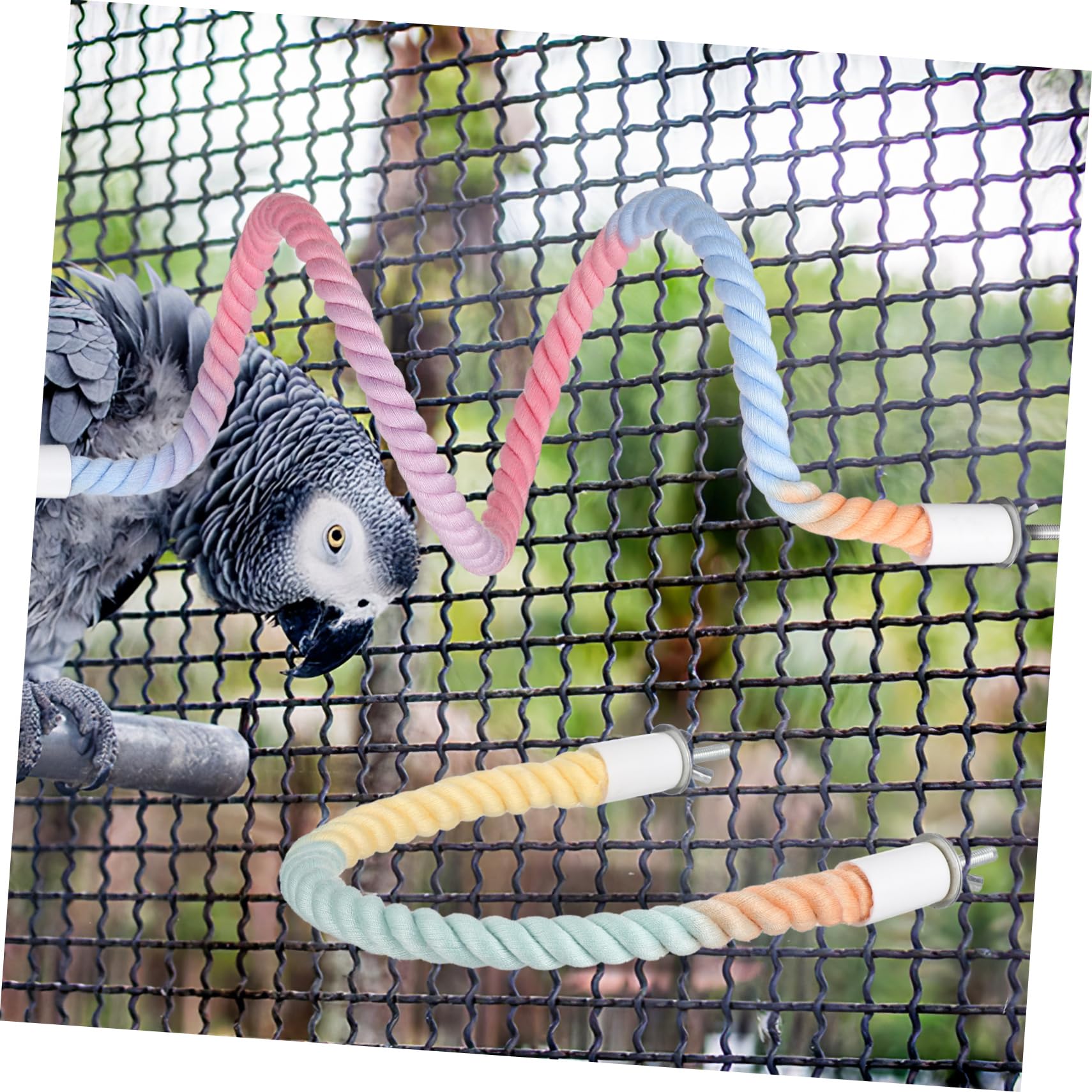 Percha de Cuerda para Loros y Aves, 3 Piezas de Algodón y Metal
