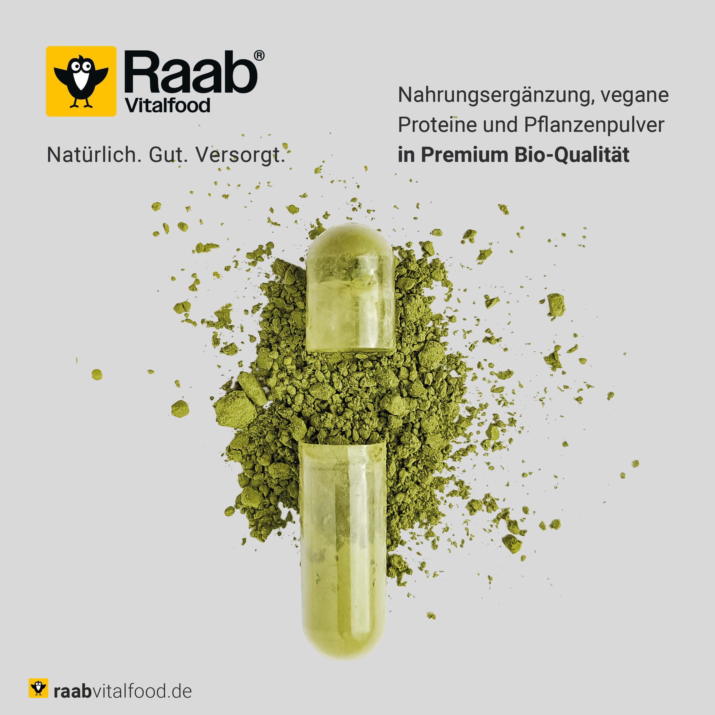 Raab Vitalfood Bio Hanf-Protein 500 g, rein pflanzlich, Protein-Pulver mit 49 % Protein, Hanf-Mehl, Eiweiß-Shake, vegan, glutenfrei