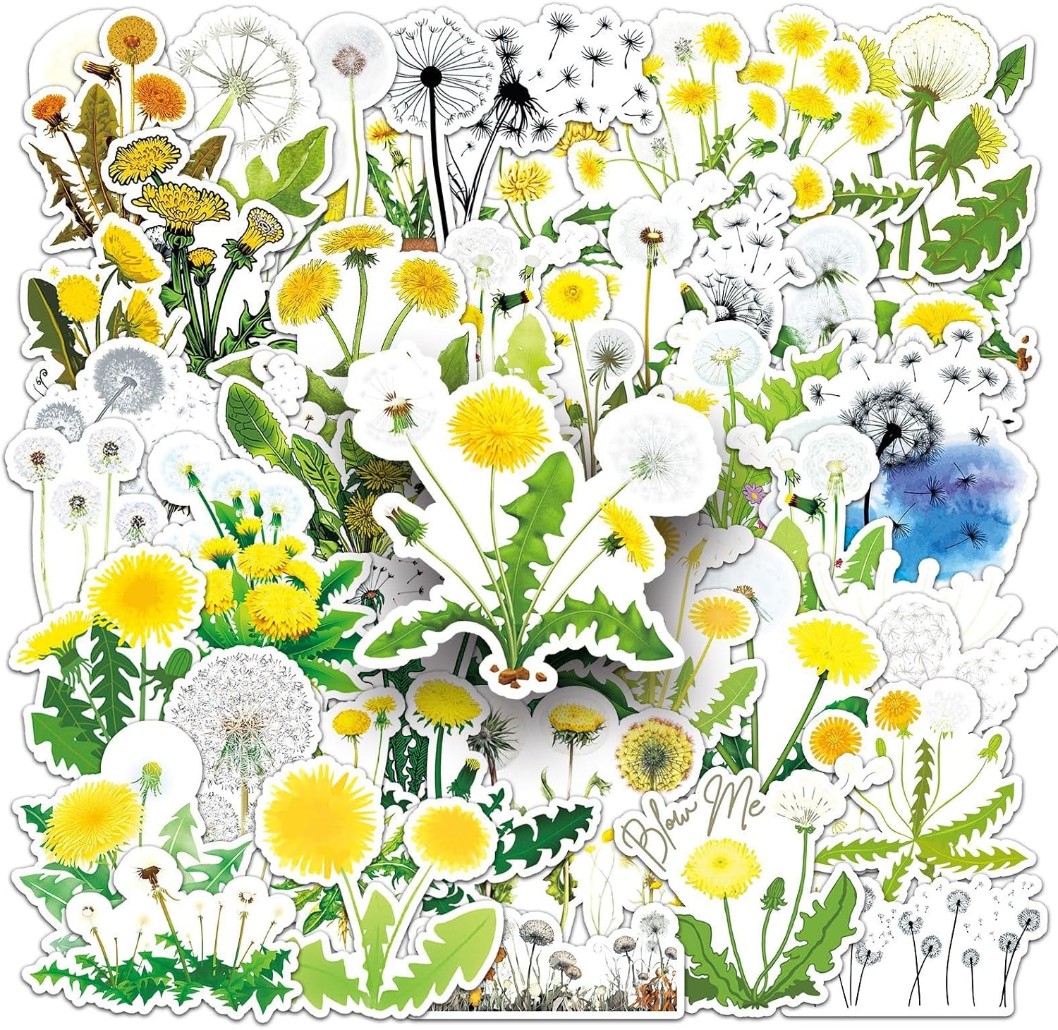 50 Pcs Dandelion Stickers - Waterproof Vinyl Flower Stickers for Skateboard, Laptop, Fridge, Phone & Luggage (Assorted Watercolor Designs) (Dandelion) image 3