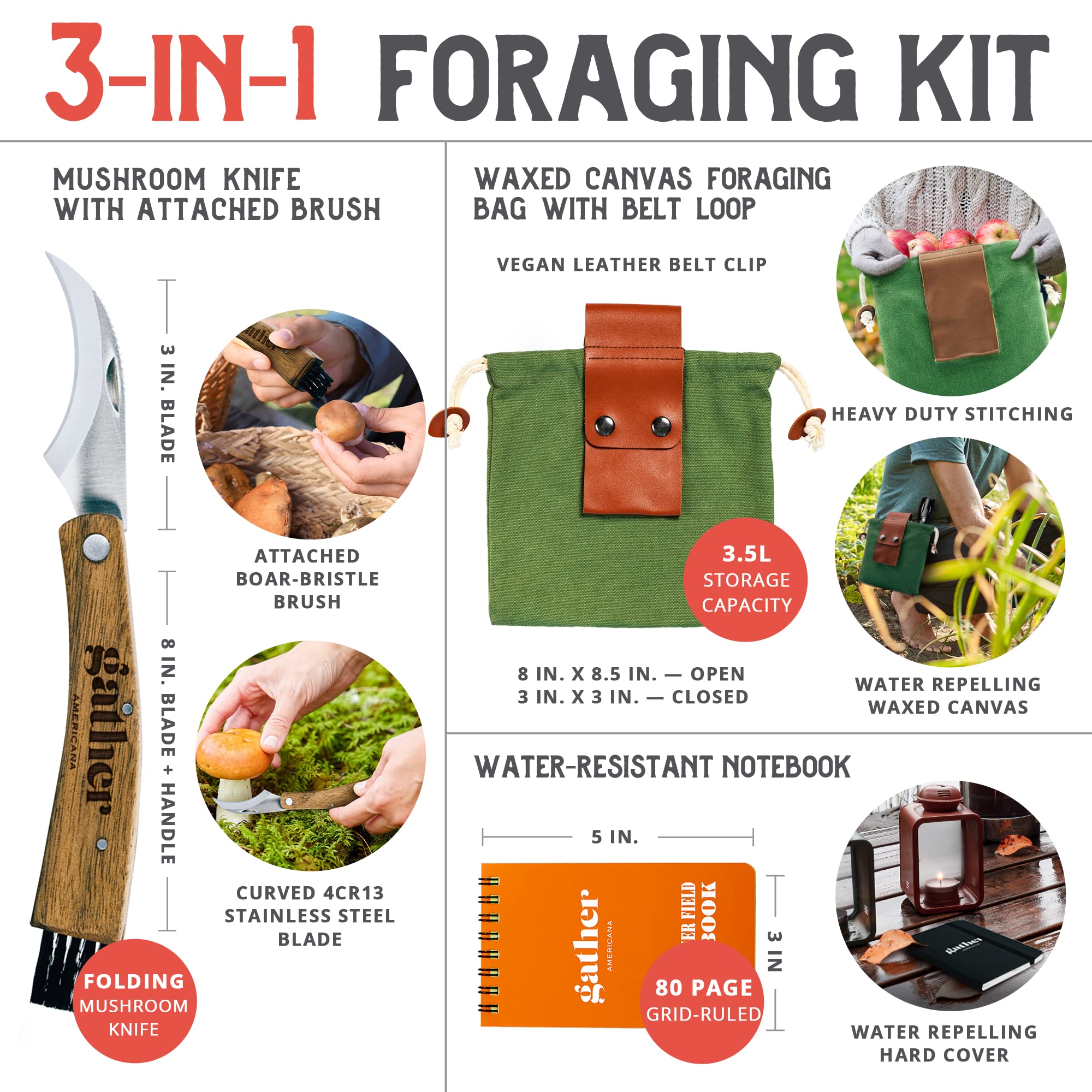 Snapklik.com : Gather Americana Mushroom Foraging Kit Mushroom ...