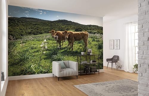 Komar Vlies Fototapete KUHRPARADIES | Tapete, XXL, Dekoration, Natur, Landschaft