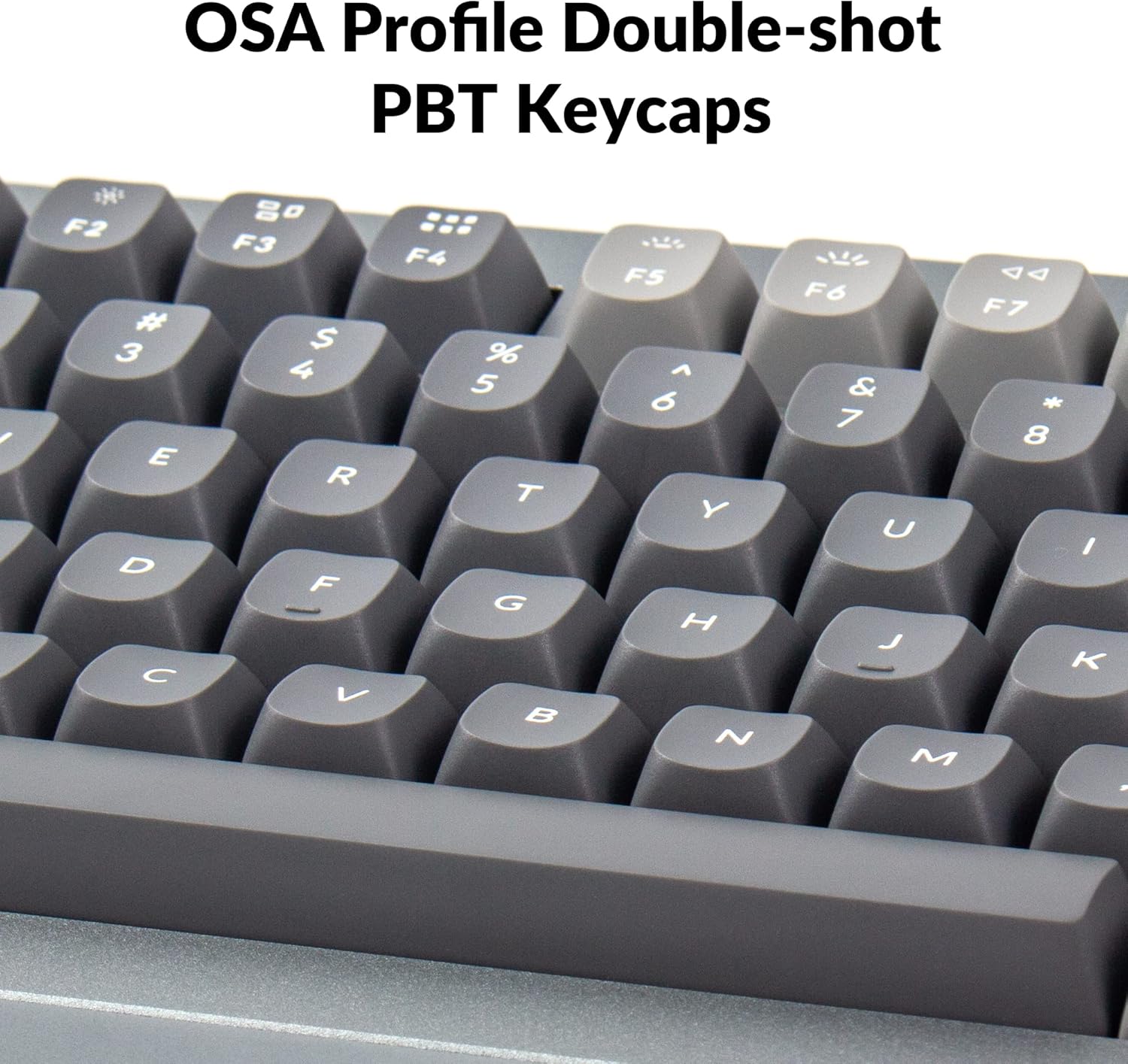 قیمت و خرید از آمازون عکس 7