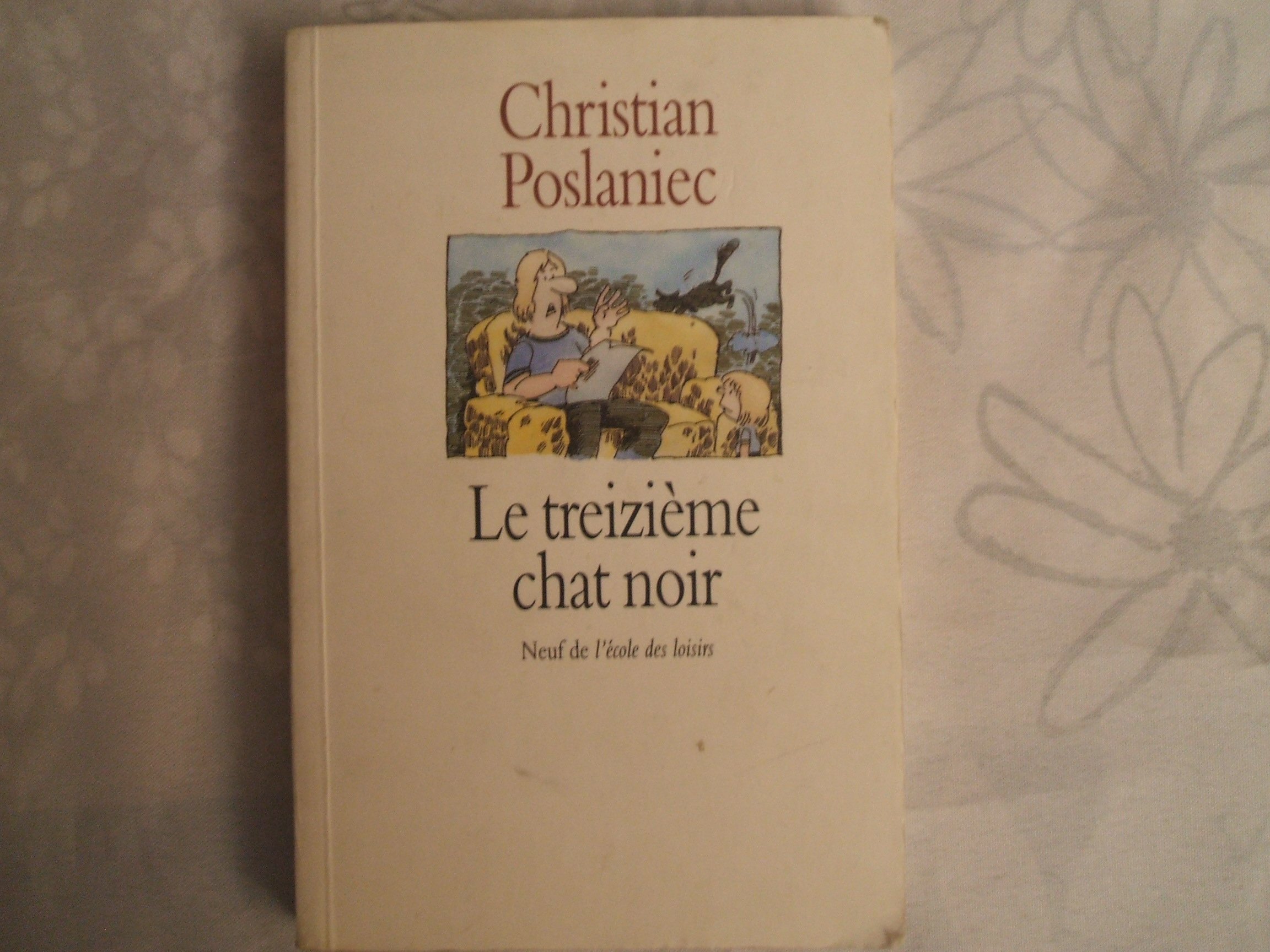 Le treizieme chat noir