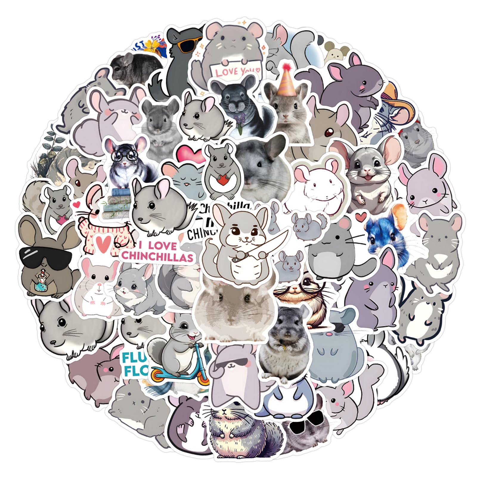 Chinchilla Stickers,Cartoon Animal Graffiti Stickers,100Pcs Chinchilla Vinyl Waterproof Decals for Kids Teens,for Phone Laptop Water Bottles Skateboard Computer Phone Luggage Guitar Car Gifts