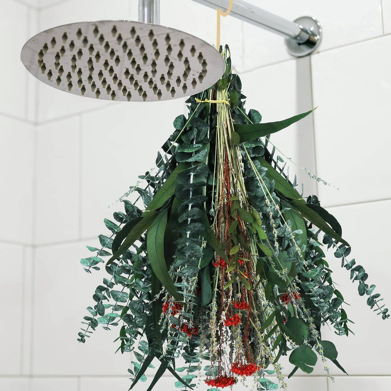 6 Reasons a Eucalyptus Plant Should Be Part of Your Home Décor - My