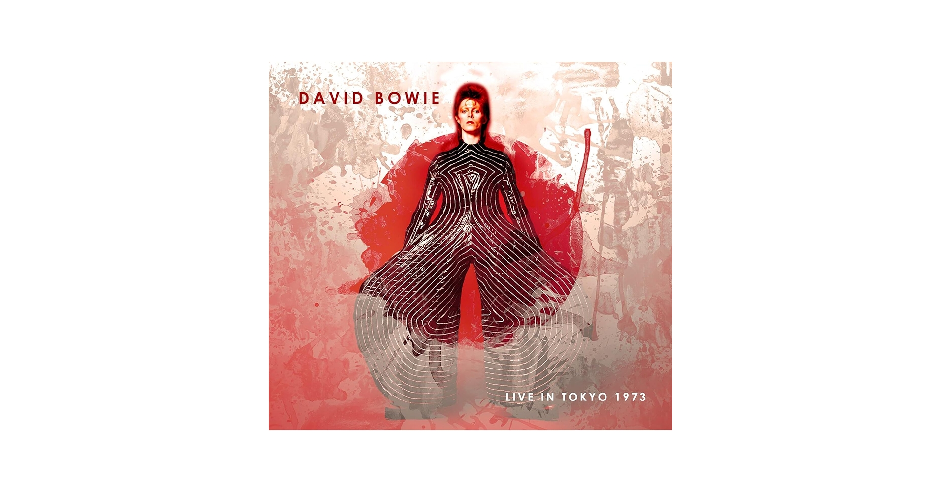 激レア！David Bowie Live in Tampa レコード 激レア！David Bowie Live in Tampa レコード