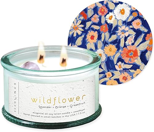 Legacy Publishing Group Plántulas - Vela perfumada de cera de soja natural con aceite esencial en soporte de vidrio con salvamantel, 7.5 onzas,