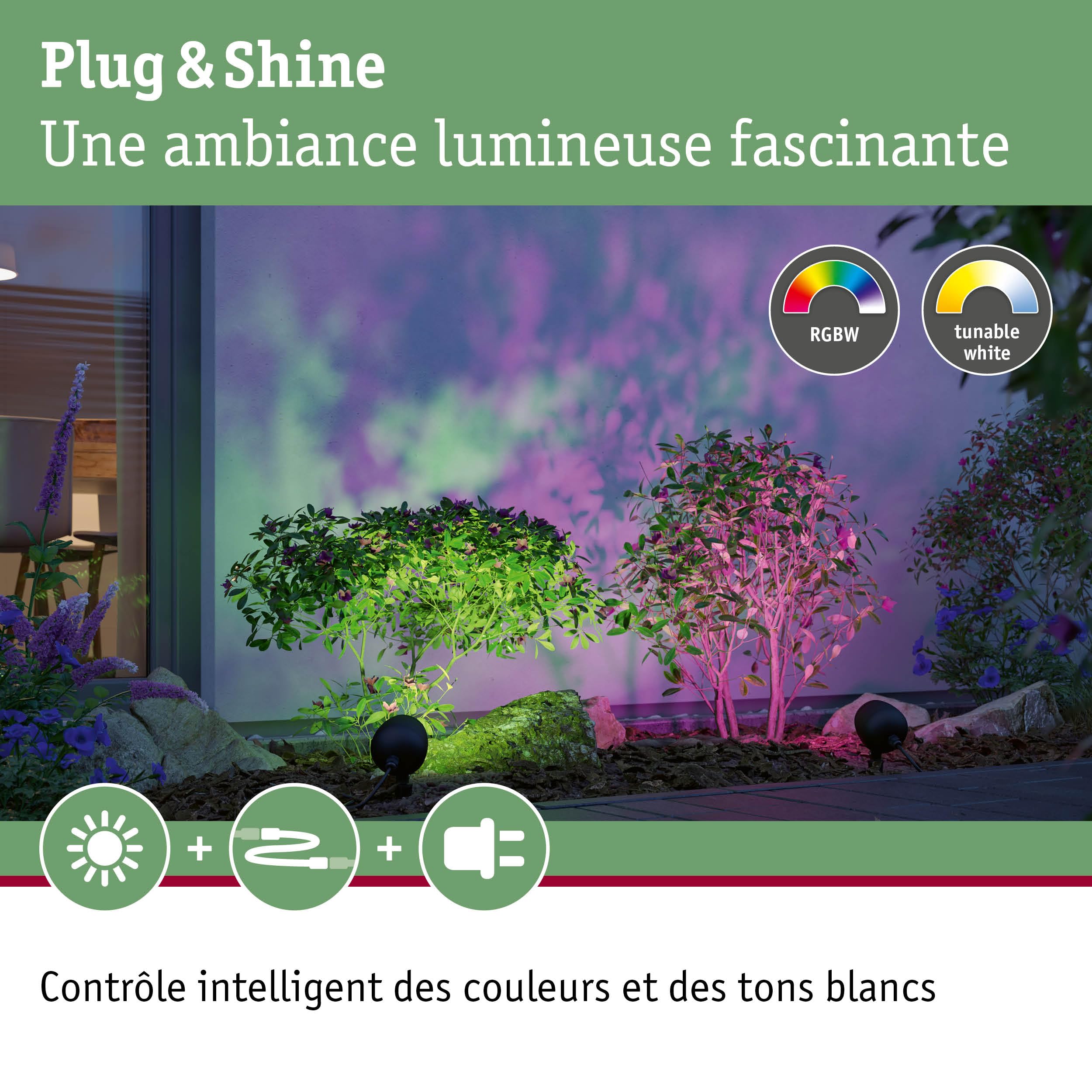 Paulmann 94769 Plug & Shine Projecteur de jardin LED Kikolo Smart Home Zigbee IP65 6,2W 400lm gradable 261mm Anthr. plast./Alu 3000-6500K RGBW+