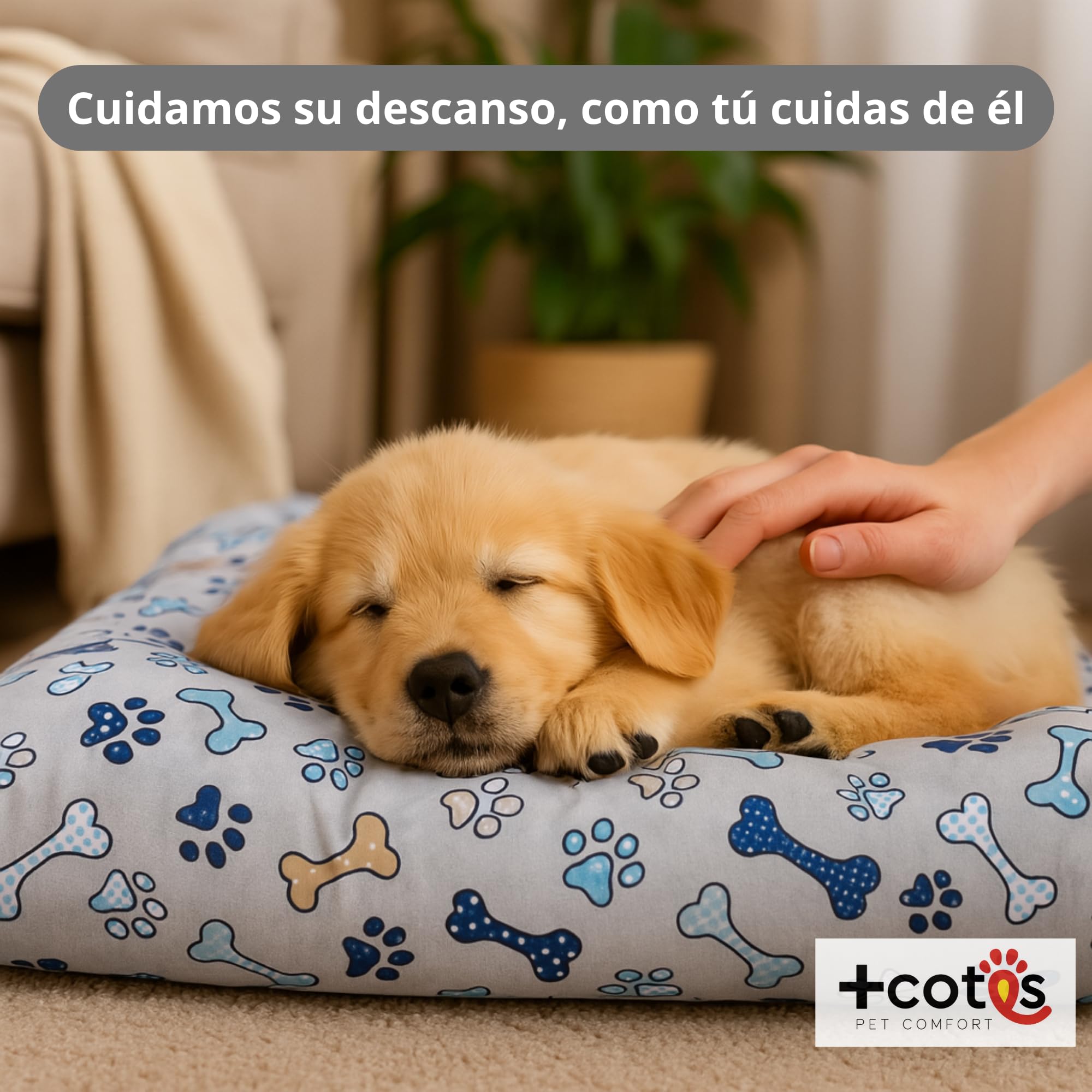 Cama Perro pequeño - Colchón Fibra Suave y Transpirable - Tejido loneta Resistente antipelos - Base Antideslizante - Lavable y Ligera - Hecho en España 50X70X8 Huesos +Cotes