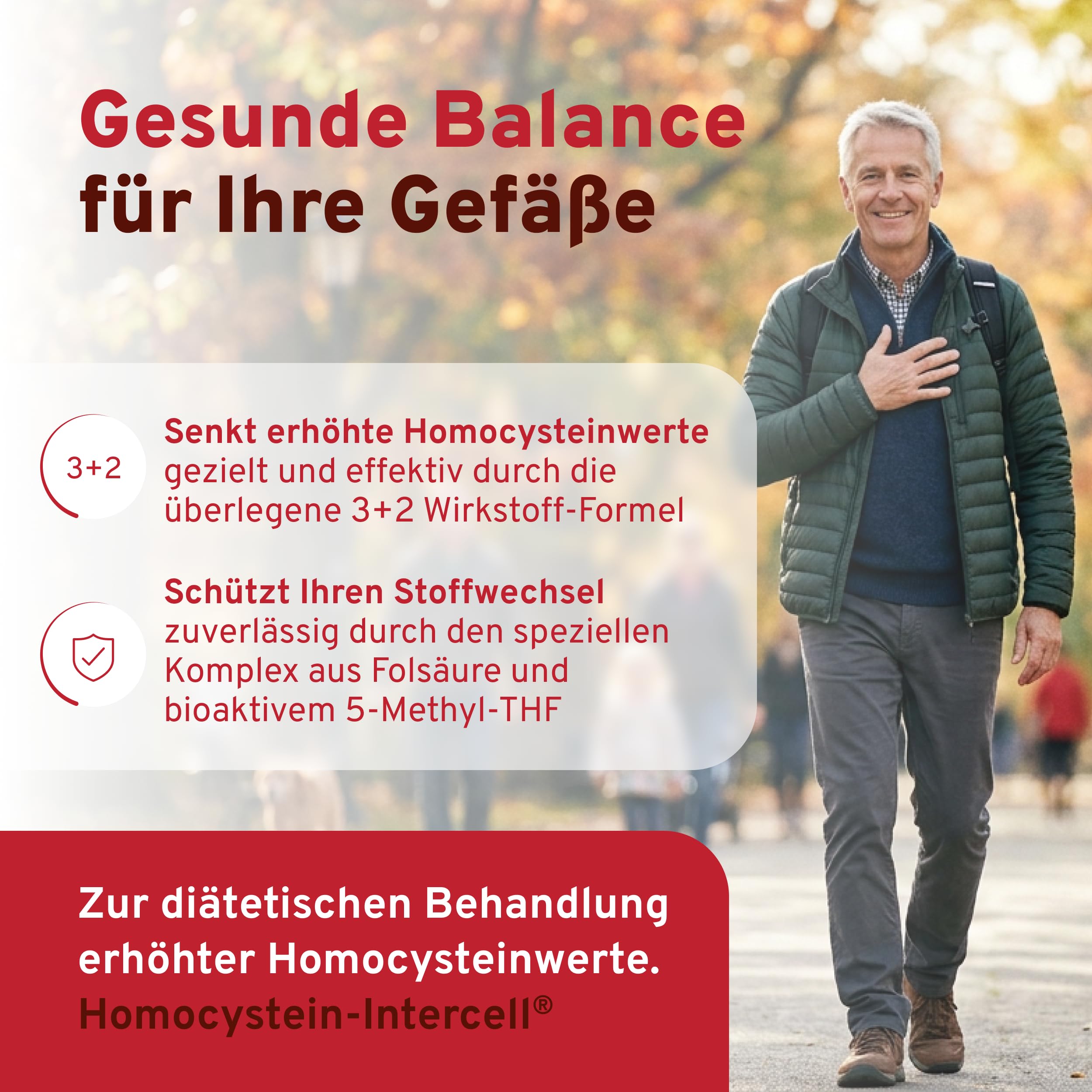 Homocystein-Intercell (90 Kapseln) - Vitamin B Komplex mit Betain & bioaktiver Folsäure (5-MTHF) - Hochdosiertes Vitamin B12, B6 & B2 für den Homocysteinstoffwechsel - Hohe Bioverfügbarkeit