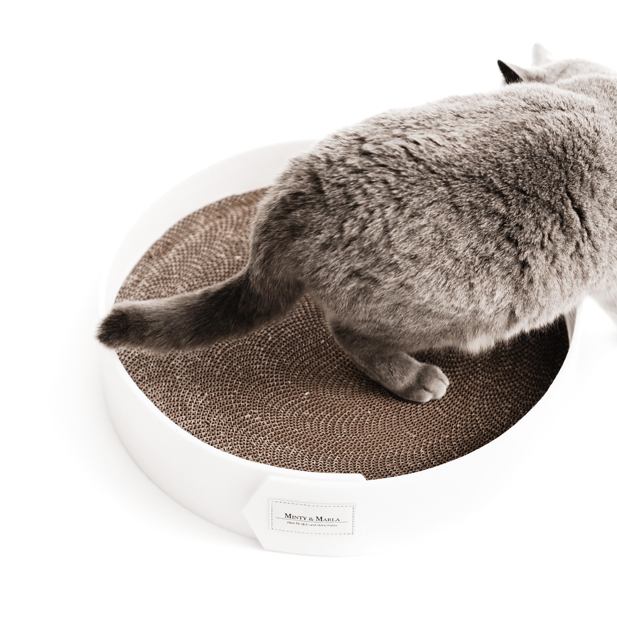 Minty&Marla® | Kratzbrett inkl. Katzenminze | Kratzmöbel für Katzen | Kratzpappe | Stylisches Kratzboard Katze | Katzenbett für Katzen mit Filzrand | Schlafplatz und Kratzmöglichkeit | Weiß