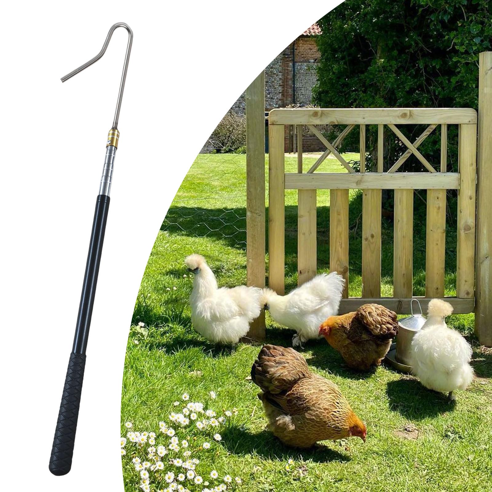 2 en 1 Évolutif Poulet Cuissard Jambe Crochet Outil et Filet de Poulet en Acier Inoxydable Évolutif Long Poulailler Filet de Capture de Poulet pour Attraper Poisson Volaille
