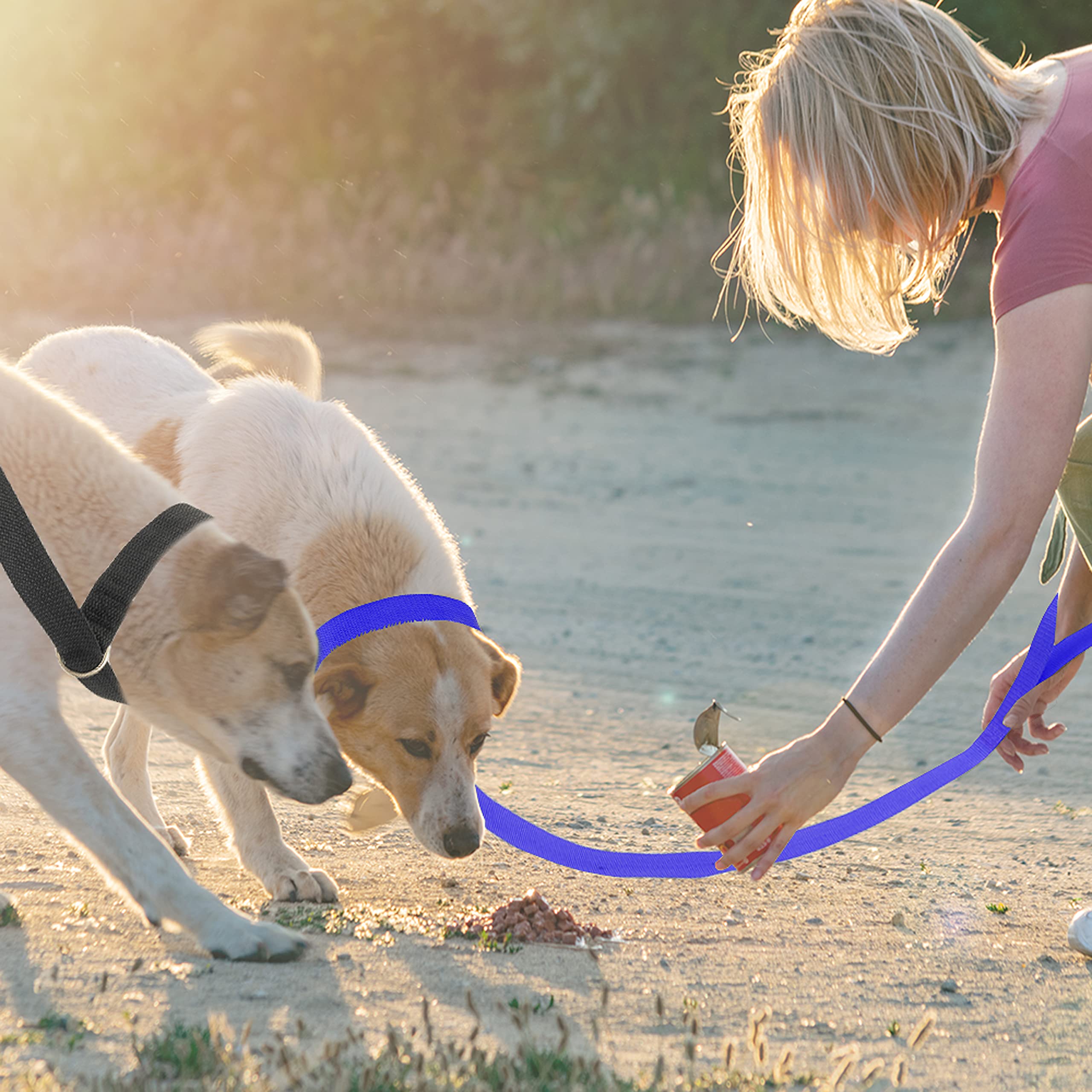 Correa deslizante para perro, correa corta para perro de 6 pies con junta tórica para caminar, rescate, entrenamiento, correr, aseo, refugio, correas fuertes para perros pequeños y grandes