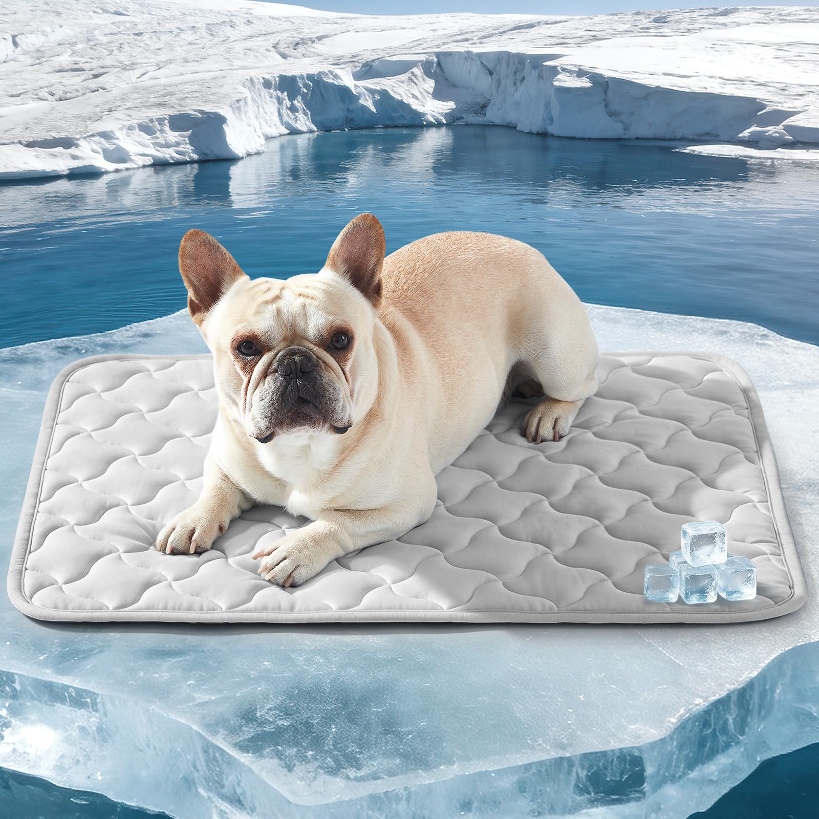 GASUR Cooling Mat for Dogs, Q-Max>0.5 Instant Temp Drop Dog Cooling Mats for Medium Dogs&…