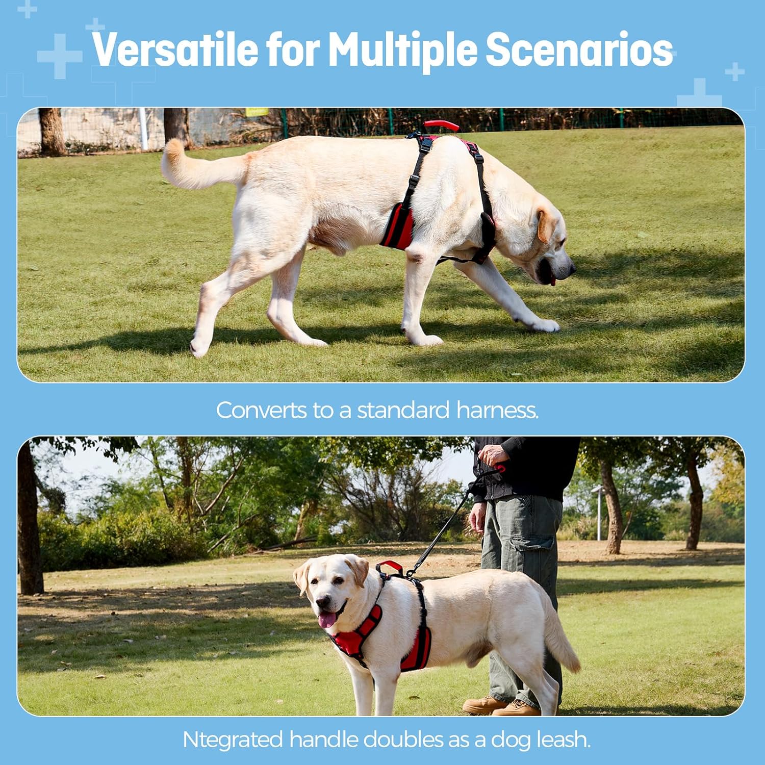 Dog Lift Harness for Extra Large Dogs, Heavy Dog Lifting Support Harness with Dual Handles, Strong Mobility Aid for Arthritis & Injury Recovery, Red, XL