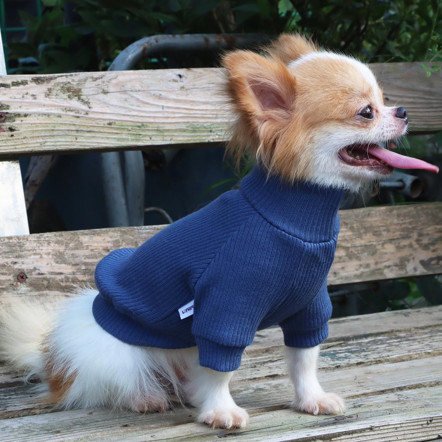 犬服　GE RIPPLE Dog Sweater 犬服 GE RIPPLE Dog Sweater GEORGE｜ジョージ【Ripple Dog