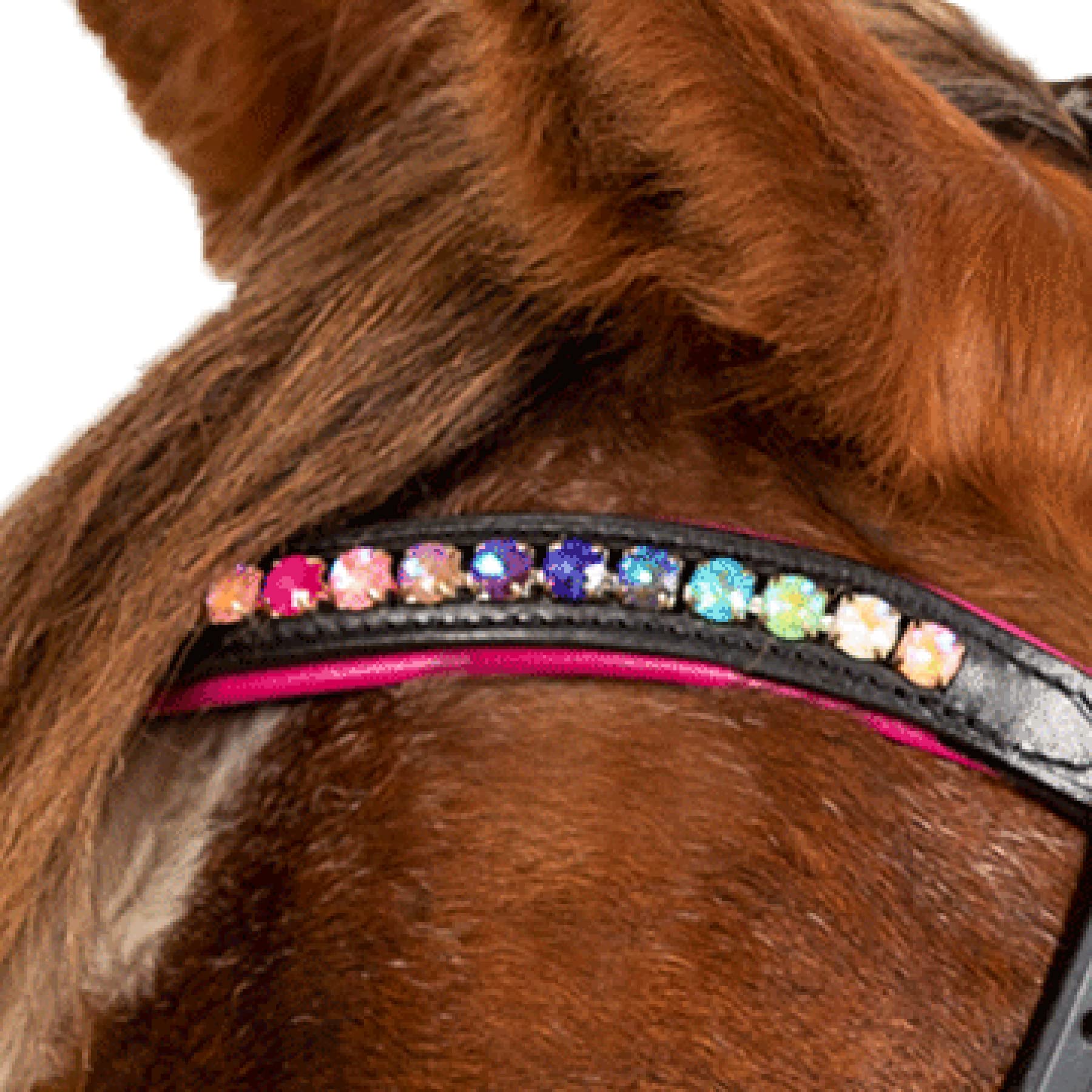 STAR Trensenzaum Pinky