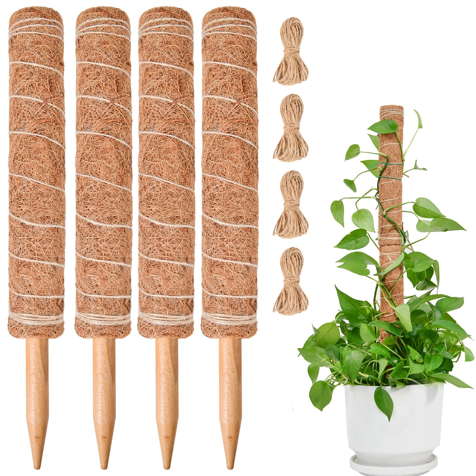 Poteau de mousse de 124 cm tuteur plante grimpante kit 4 pièces SproutMaven Monstera