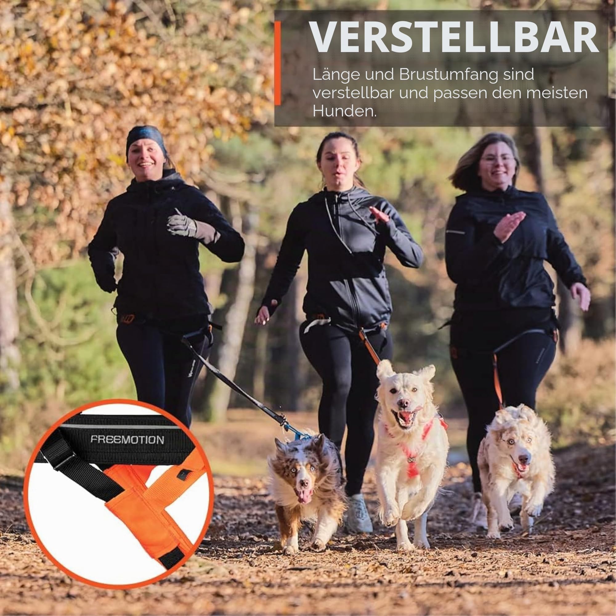Non-Stop dogwear FREEMOTION Harness 5.0 |111| Hundegeschirr für alle Sportarten, Größe:7