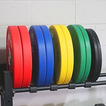Amazon.co.jp: Titan Fitness 20kg カラーウレタンバンパー