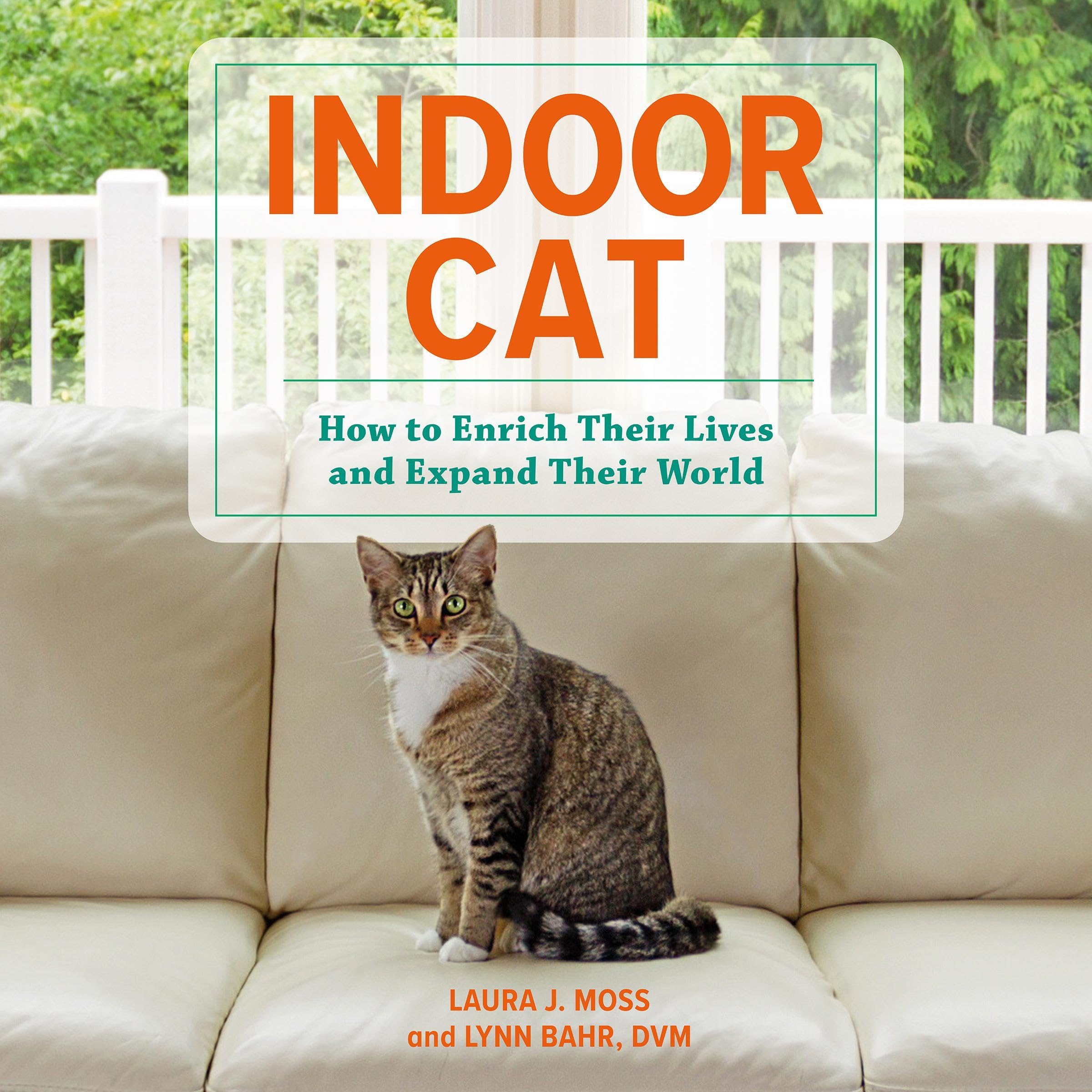 Cover art for Indoor Cat
