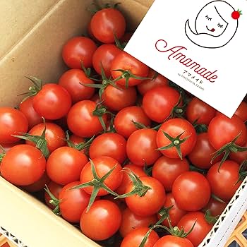 トマトさま専用 トマトさま専用 トマト詰め合わせBOX【Sサイズ】 | Neighbor's Farm