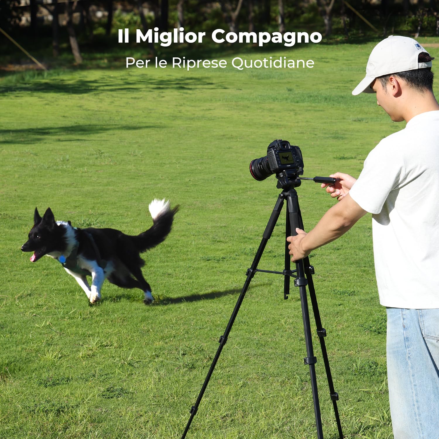 K&F CONCEPT Treppiede Fotocamera e Smartphone 48-190cm, Cavalletto Leggero in Alluminio S255A3+BV01 con Telecomando Bluetooth, Tripod Camera Portatile e Compatto per DSLR/Cellulari/Ipad/Live Streaming