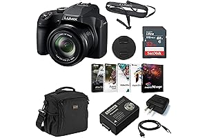 Panasonic Lumix FZ80: The Ultimate 4K Point-and-Shoot Camera