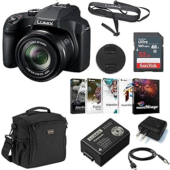Amazon.com : Panasonic LUMIX FZ80D 18.1MP Point & Shoot Digital