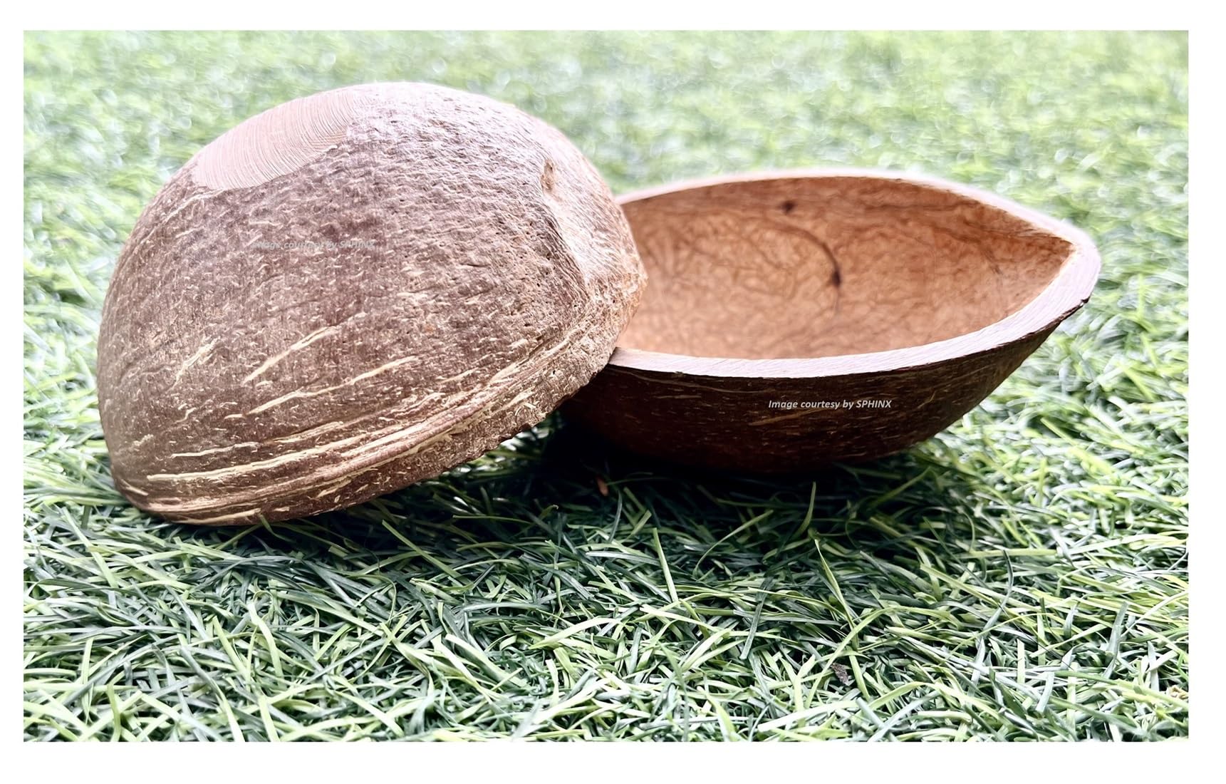 SPHINX Artisanal Biodegradable Natural Coconut Shells: Ideal for Candle Making, Filler, Table Decor, and Crafting- (Oval Shape-Matt Finish, 2 Pieces)