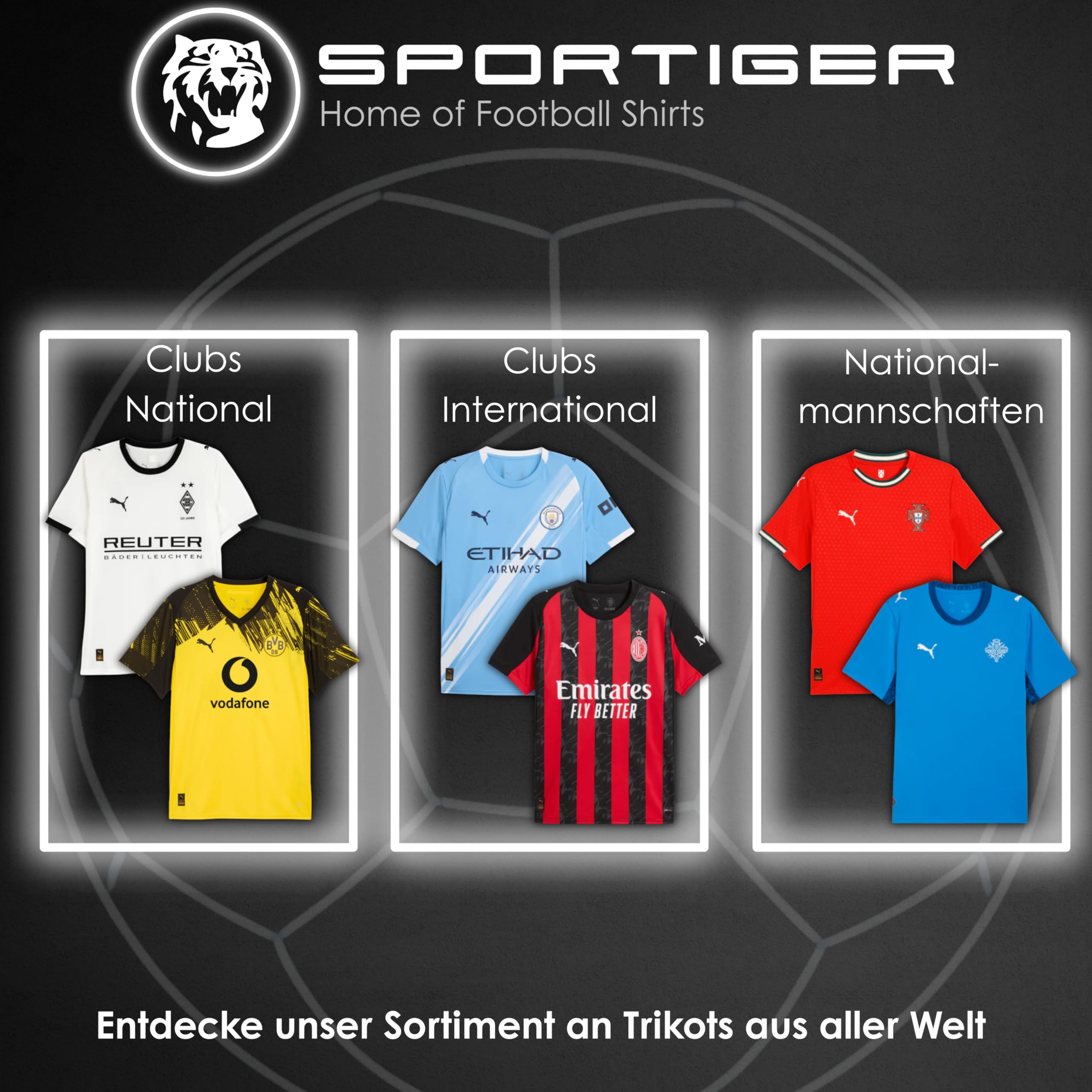 PUMA Original DHB Handball Trikot Herren [Torwart Euro 2026] Offizielles Handball Trikot [Spieler oder Personalisiert] Sportbekleidung Sport Tshirts Herren Shirt Männer