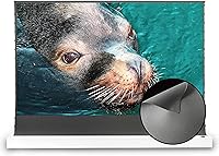 Vista 13 de VIVIDSTORM pantalla de proyección de suelo con elevación motorizada, rechaza la luz ambiental, carcasa blanca, para proyector normal de enfoque