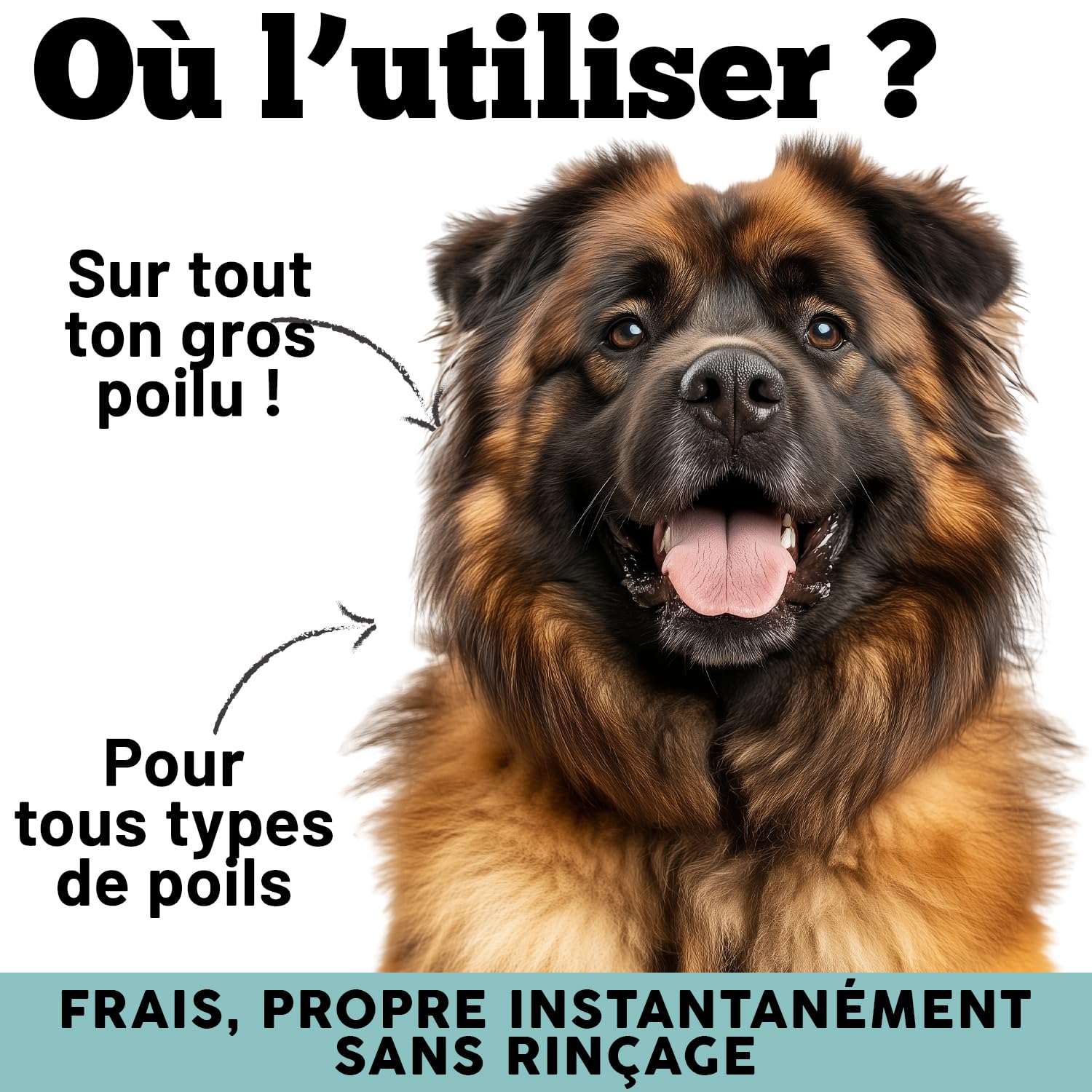 MyPetPrime Shampooing Sec en Gel pour Chiens | sans Rinçage | Anti-Odeur | Dermatologique | Hygiénique, Anti-Démangeaisons | avec Huile de Graines de Neem | pour Toutes Races | Fabriqué en Italie