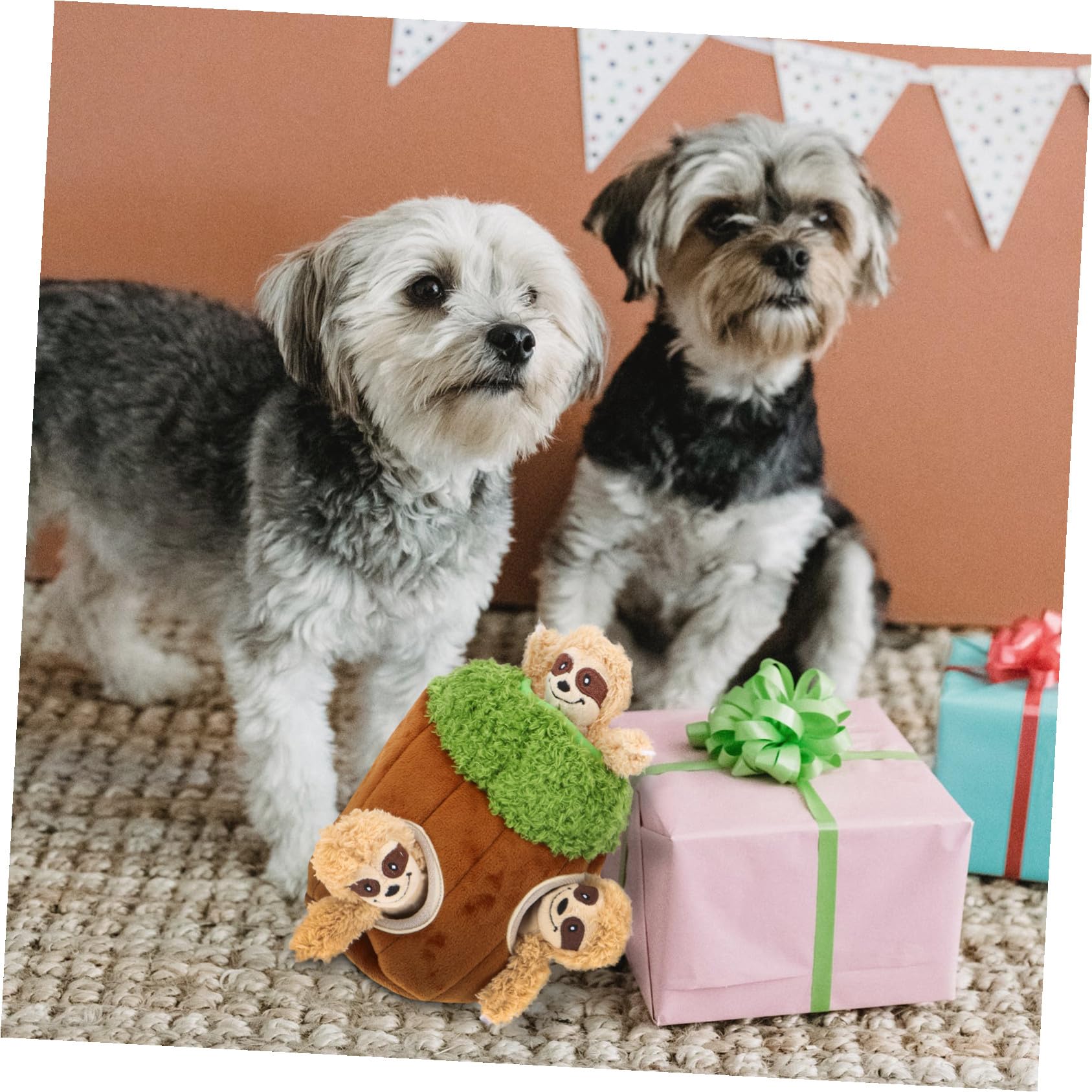 SHINEOFI Hunde Plüschtier 4 Stück aus Plüsch in Tierform Quietschendes Hundespielzeug in Kaffee Interaktives Versteckspielzeug für Hunde Begleiter und Trainingsspielzeug für Haustiere