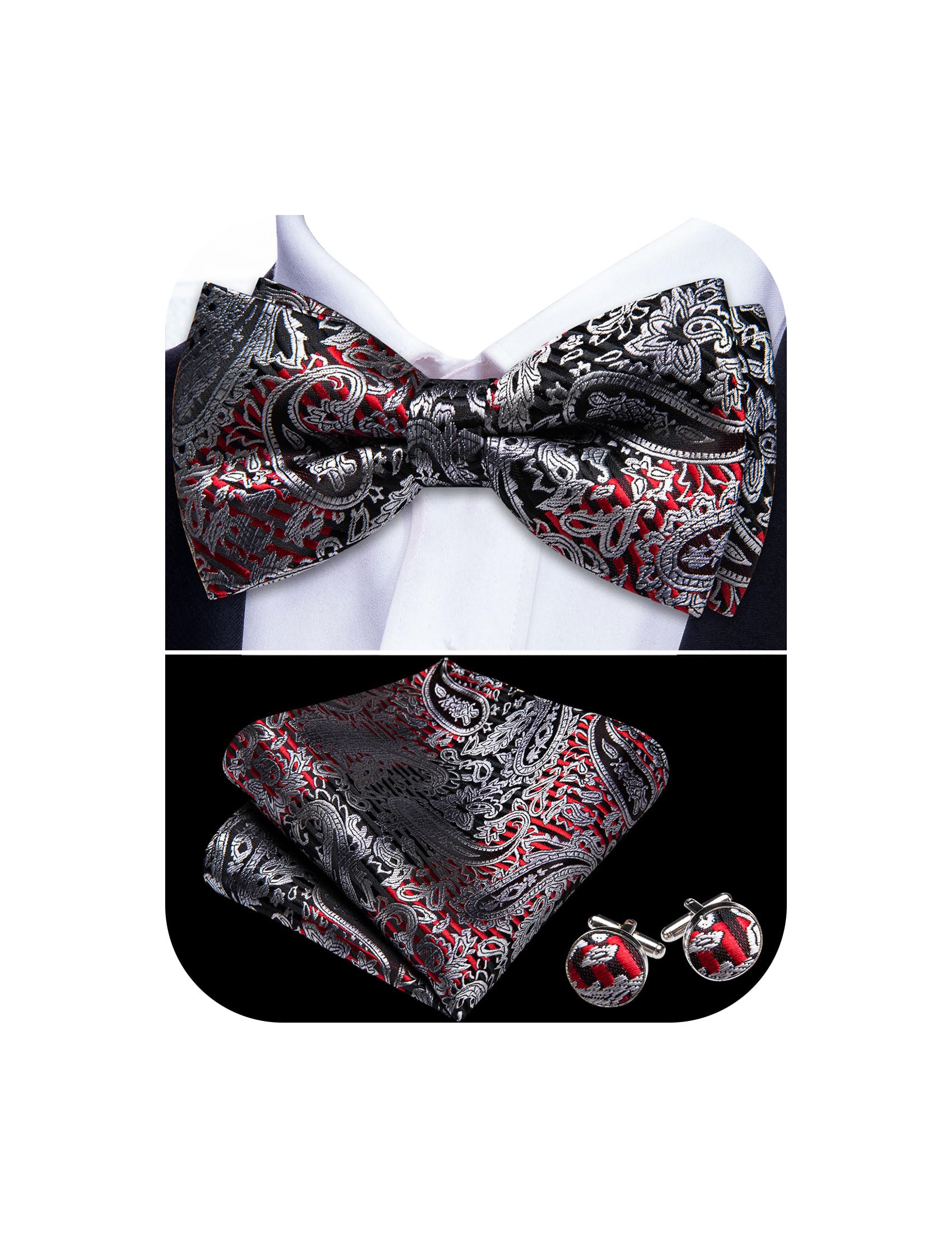 Barry.Wang Paisley Striped Bow Tie for Men Silk Pre-Tied Bowtie Set