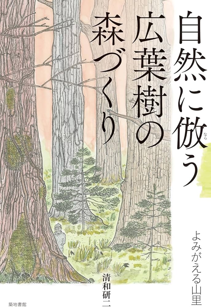 希望の象徴！幸運木【森からやって来た天然野生のもみの木さん＊樅の木】今年3年生！ 自然に倣う広葉樹の森づくり: よみがえる山里 | 清和研二 |本 | 通販