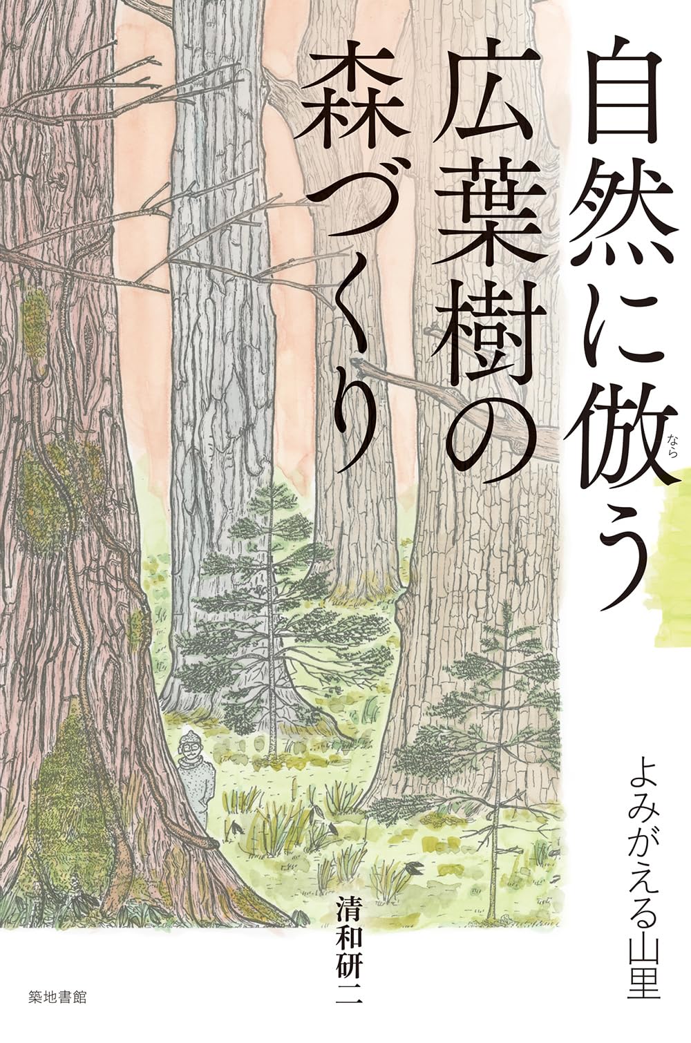 希望の象徴！幸運木【森からやって来た天然野生の可愛い樅の木さん】2400円 自然に倣う広葉樹の森づくり: よみがえる山里 | 清和研二 |本 | 通販