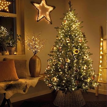 Verdict & Final Recommendation feature view