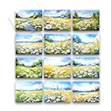 Aria Rae Design Countryside Daisy Notecards, Set of 12, Assorted Watercolor Notecards, Daisy cards, blank notecard, Floral Cards, Blank inside, cards with envelopes