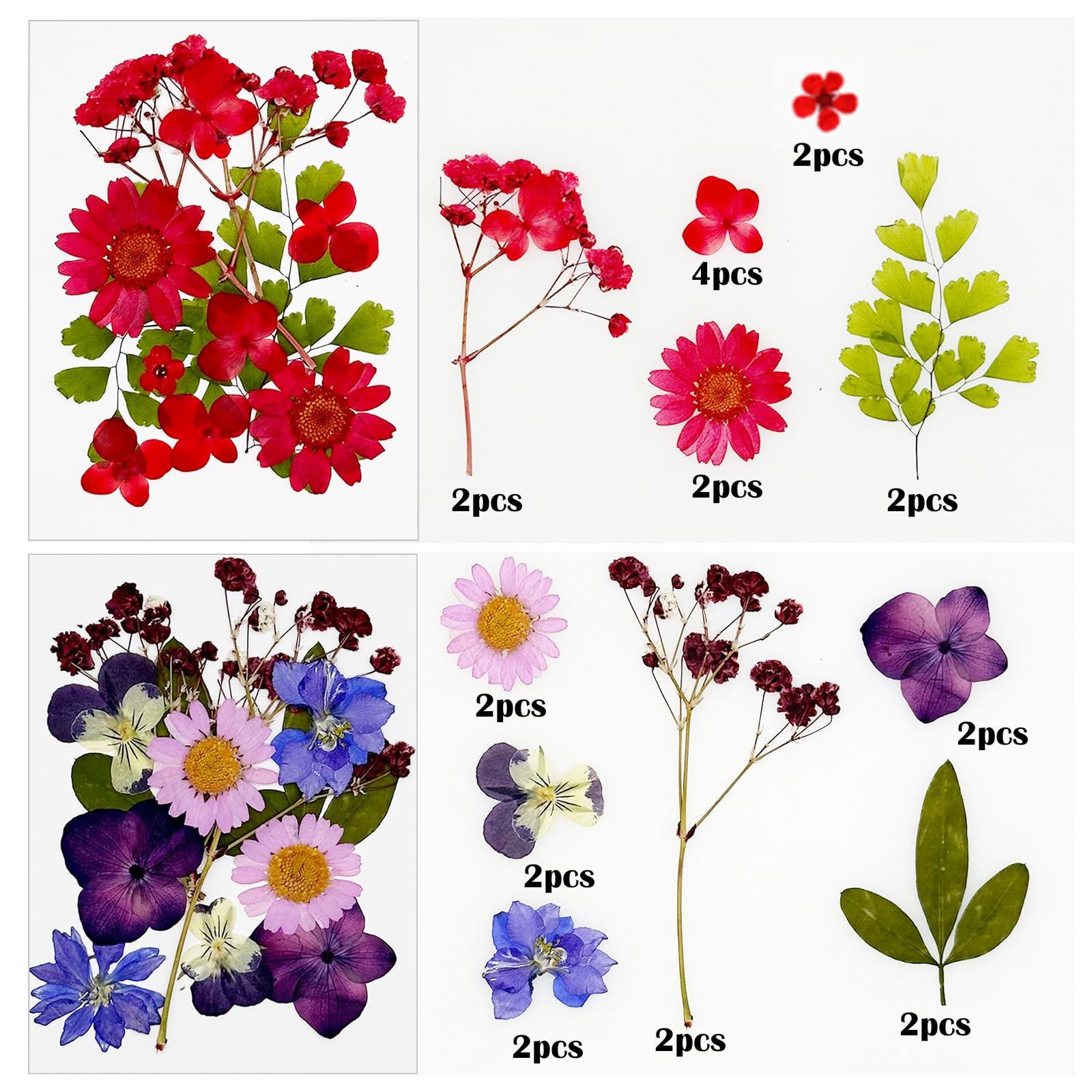Cayway Naturalne suszone kwiaty prasowane do scrapbookingu, biżuterii z żywicy epoksydowej