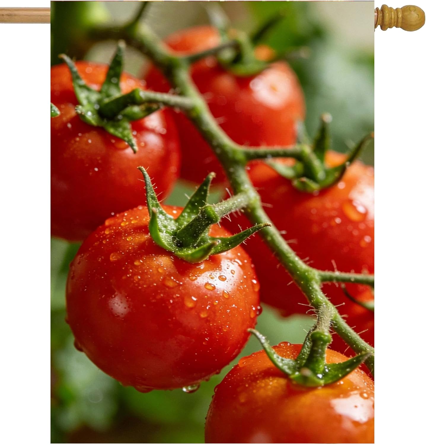 Exotic Beautiful Red Tomato on Tree Summer Spring Agriculture Farm House Flag 28 x 40 Inch, Double Sided Large Garden Yard Welcome Flags Banners for Home Lawn Patio Outdoor Decor