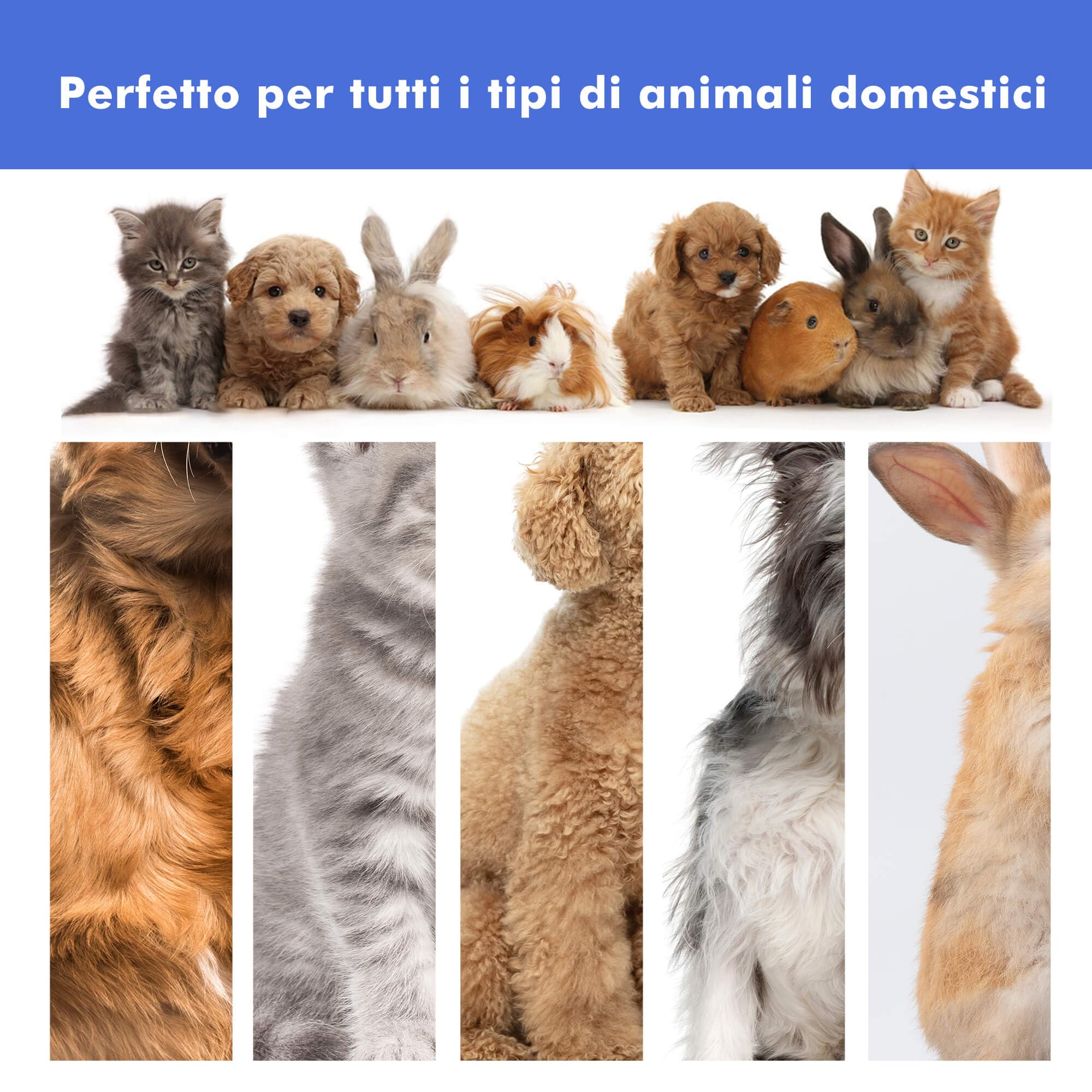 Neakasa P1 PRO Kit per toelettatura e aspirazione a Vuoto per Animali Domestici, Tosatrice per Cani e Gatto Pelo Lungo Professionale (Bianco)