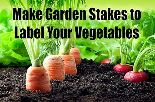 Miniatura 4 de Paquete de palitos de pintura ultra fuertes de 21 pulgadas. Agitadores de paleta de madera lijada para mezclar epoxi o pinturas en cubos de 5