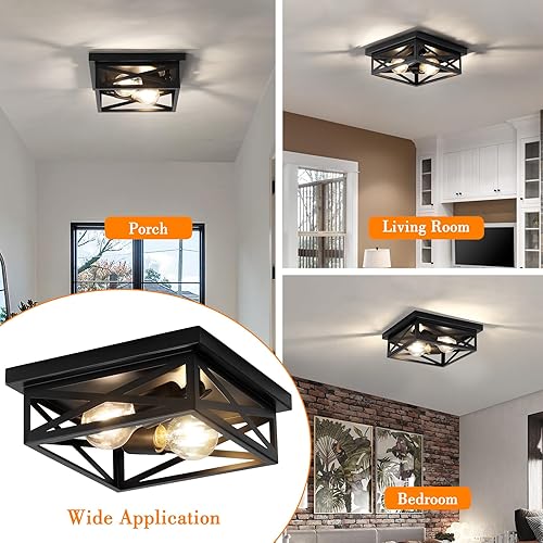 Miniatura 3 de Lámpara de techo de metal rústico negro de montaje empotrado, 2 luces industriales de granja, luces de pasillo de granja, jaula de metal cerrada al