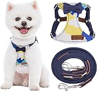 Vista 14 de Arnés sin tirones para perro, con correa multifunción, pechera suave y ajustable para mascota, no ahorca, chaleco a prueba de escape, con moño