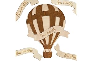 Air Balloon Baby Milestone Discs